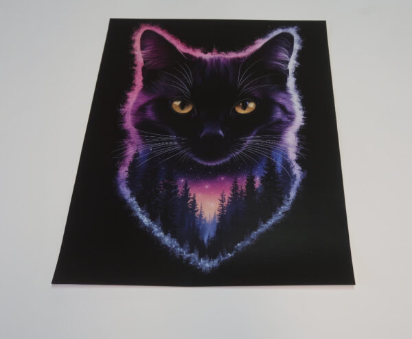 Mystinen kissa